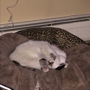 Meet your Posher, Kelsi