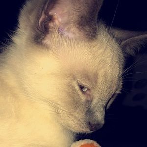 Meet your Posher, Deanna