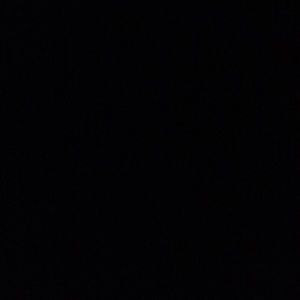 Meet your Posher, Bridgette