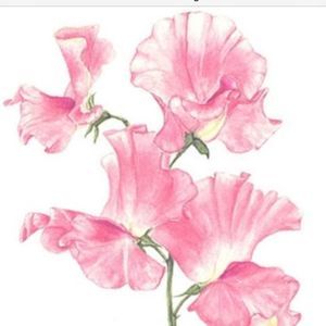 Meet your Posher, Karma