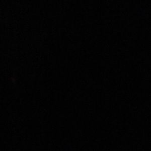 Meet your Posher, Abigail