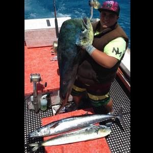 Meet your Posher, Kai