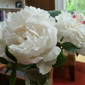 Meet your Posher, Chhanda