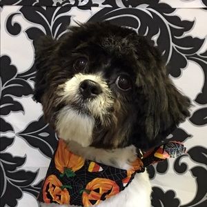 Meet your Posher, Kim