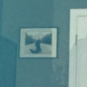 Meet your Posher, Marisa