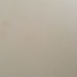 Meet your Posher, Daisy