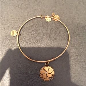 Alex & Ani Gold Friendship Bracelet