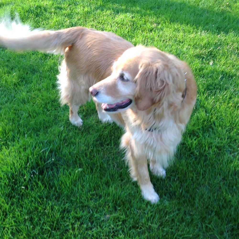 Meet your Posher, Mary