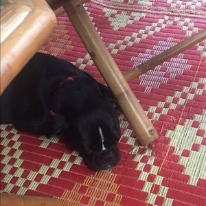 Meet your Posher, Josh