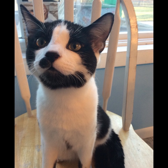 Meet your Posher, Georgia