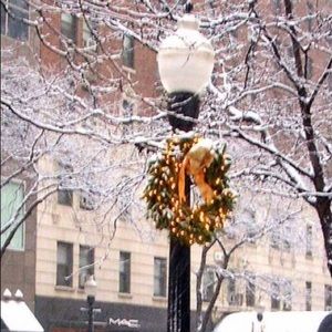 Meet your Posher, Carmen