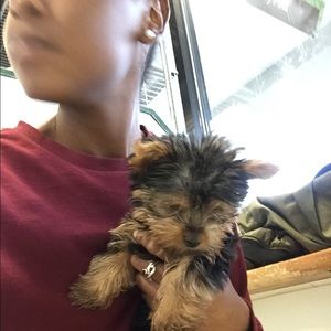 Meet your Posher, Ebony