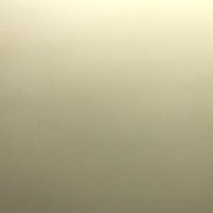 Meet your Posher, Shelly