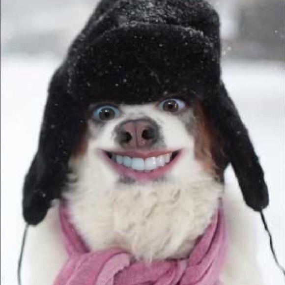 Meet your Posher, Mina - Picture 1 of 1