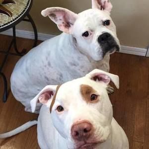 Meet your Posher, Claudia