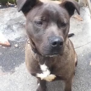 Meet your Posher, Adrian