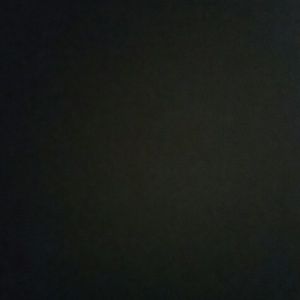 Meet your Posher, Felisha