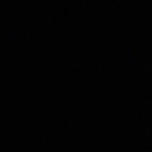 Meet your Posher, Carissa