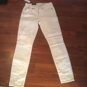 JCrew pant