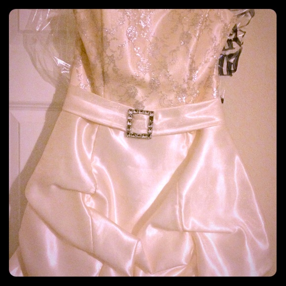 Shimmer Dress - Picture 1 of 1