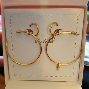 Stella and Dot Orbit Hoop earrings
