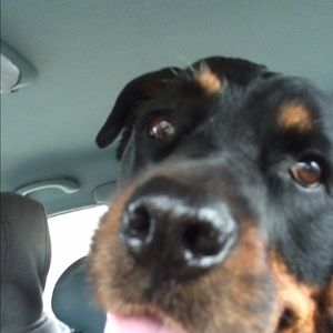 Meet your Posher, Bradley