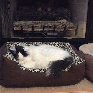 Meet your Posher, Jackie