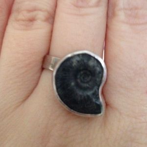 Silver and shell ring