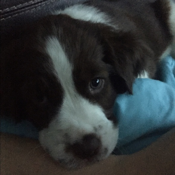 Meet your Posher, Nins - Picture 1 of 1