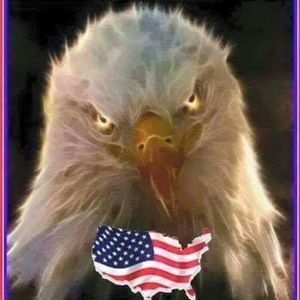 Meet your Posher, Pat