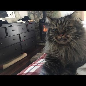 Meet your Posher, Tonya