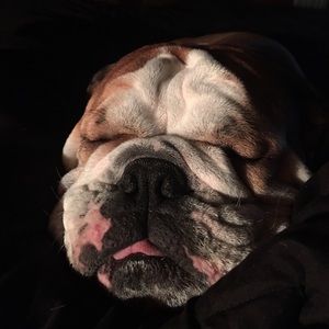 Meet your Posher, Stephen