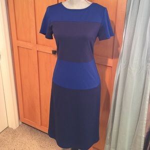 NWOT Victoria Beckham Replica