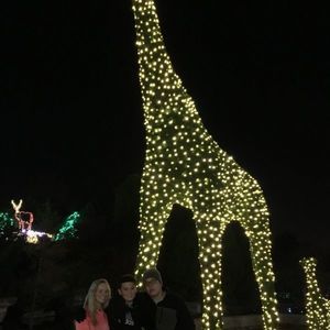 Meet your Posher, Sierra