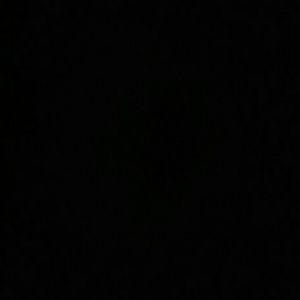 Meet your Posher, Jazmine