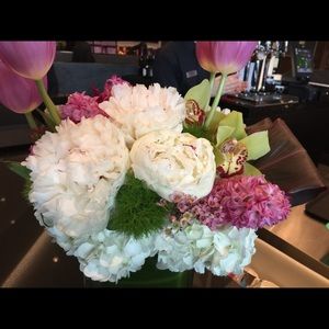 Meet your Posher, Grace