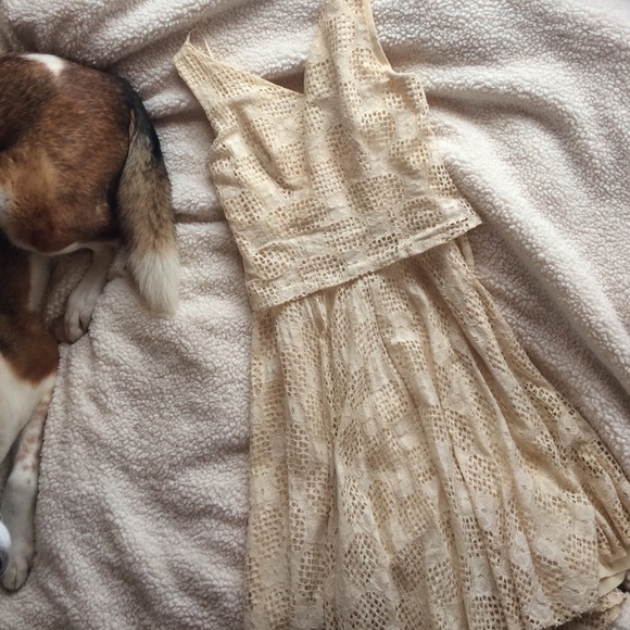 vintage lace swing dress