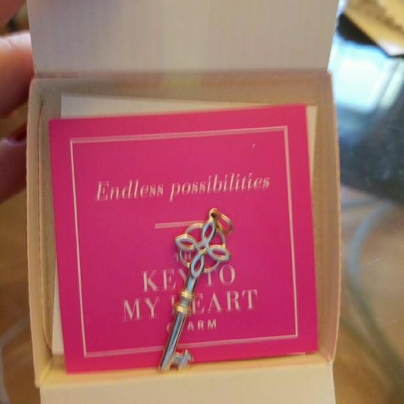 New Stella and Dot Sterling silver Key to my heart