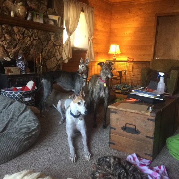 Meet your posher, Kristi - Picture 2 of 2