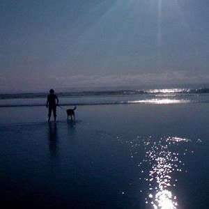 Meet your Posher, Mallory