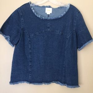 NWOT Maeve brand (from Anthropologie) denim top S