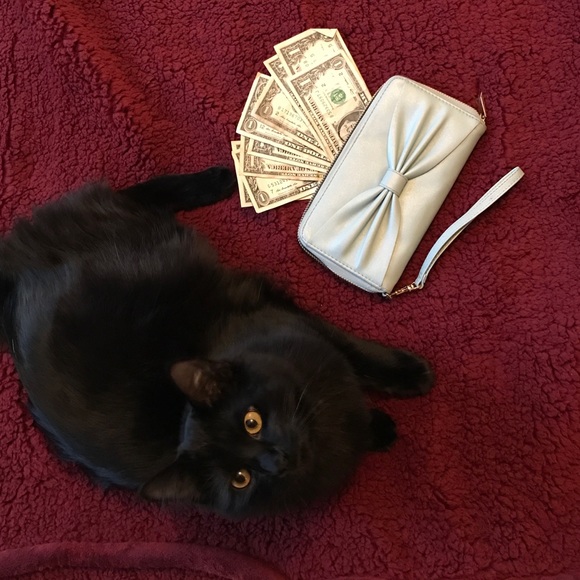 💋SALE💋Cinderella Blue Wallet 🐱👸🏾👸🏼👸🏿 - Picture 1 of 4