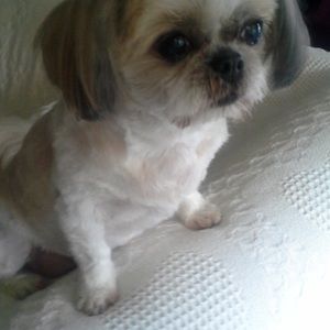 Meet your Posher, Kathy