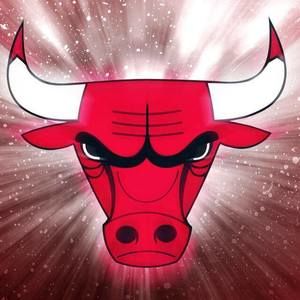 Meet your Posher, Desmond