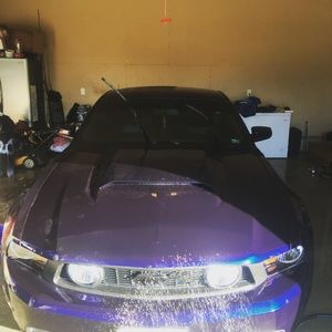 Meet your Posher, Lamar