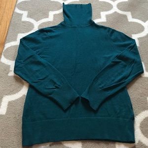 LL Bean turtle neck sweater