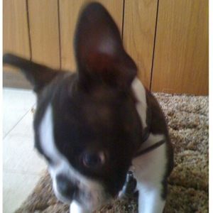 Meet your Posher, Chad