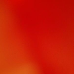 Meet your Posher, Mona