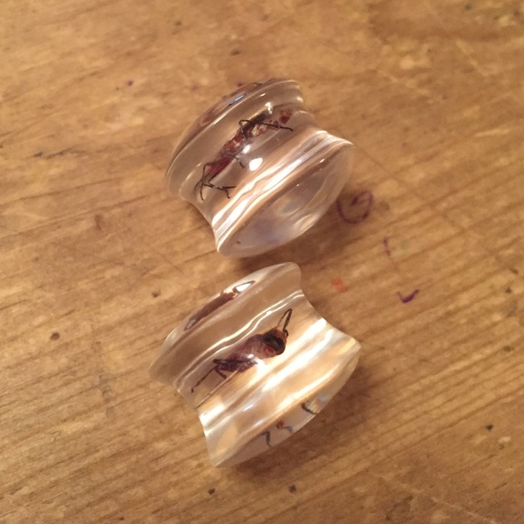 Acrylic plugs - Picture 2 of 3