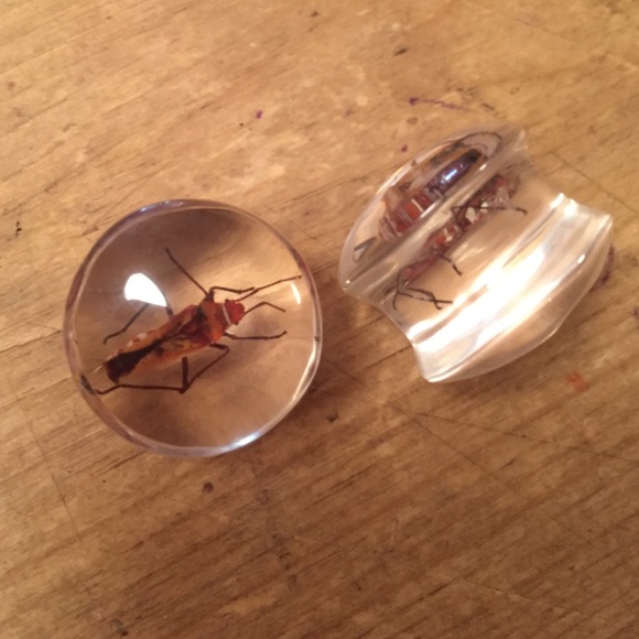 Acrylic plugs - Picture 3 of 3